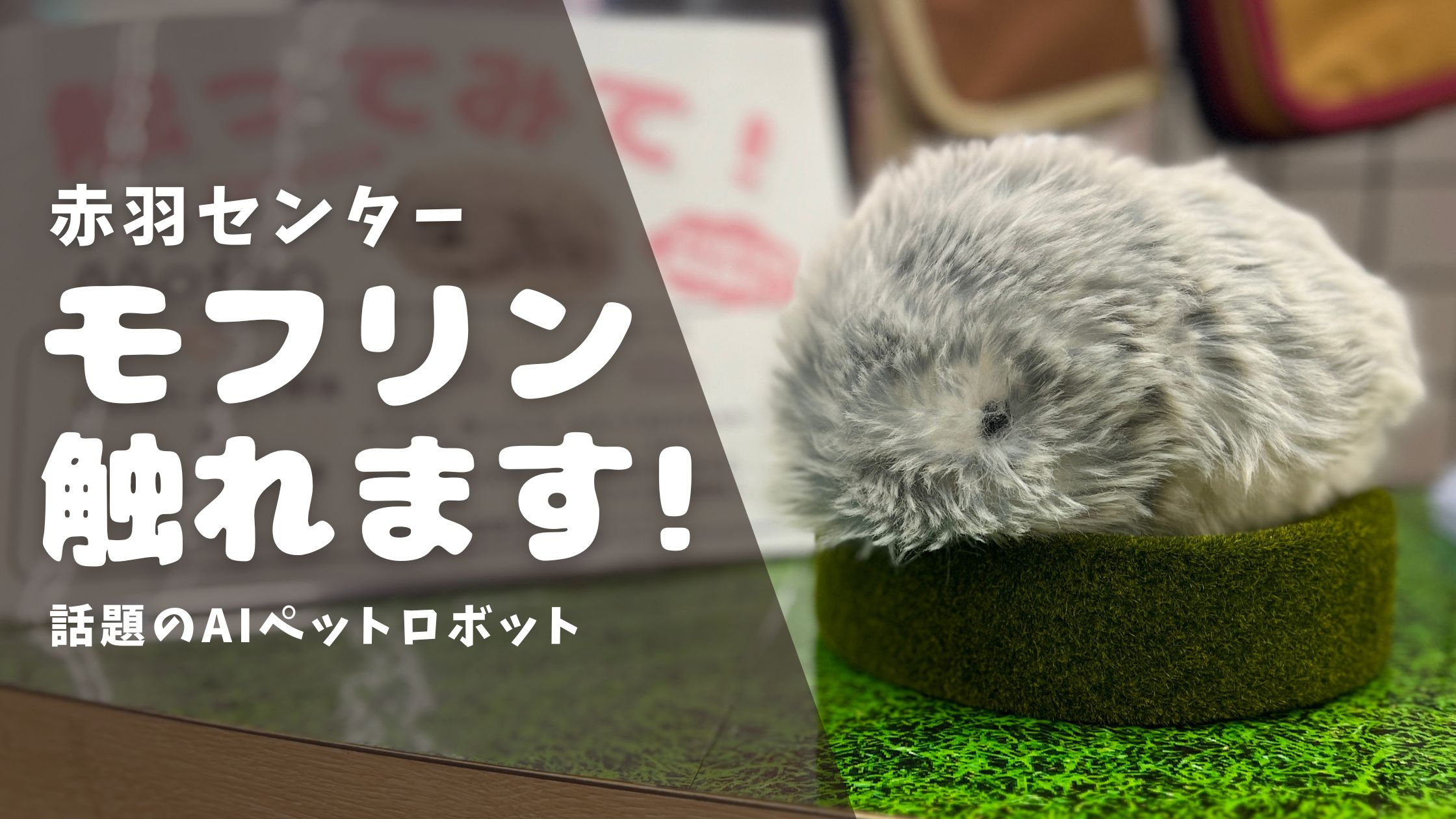 【赤羽センター】可愛いAIペットロボット“モフリン”がやってきました！